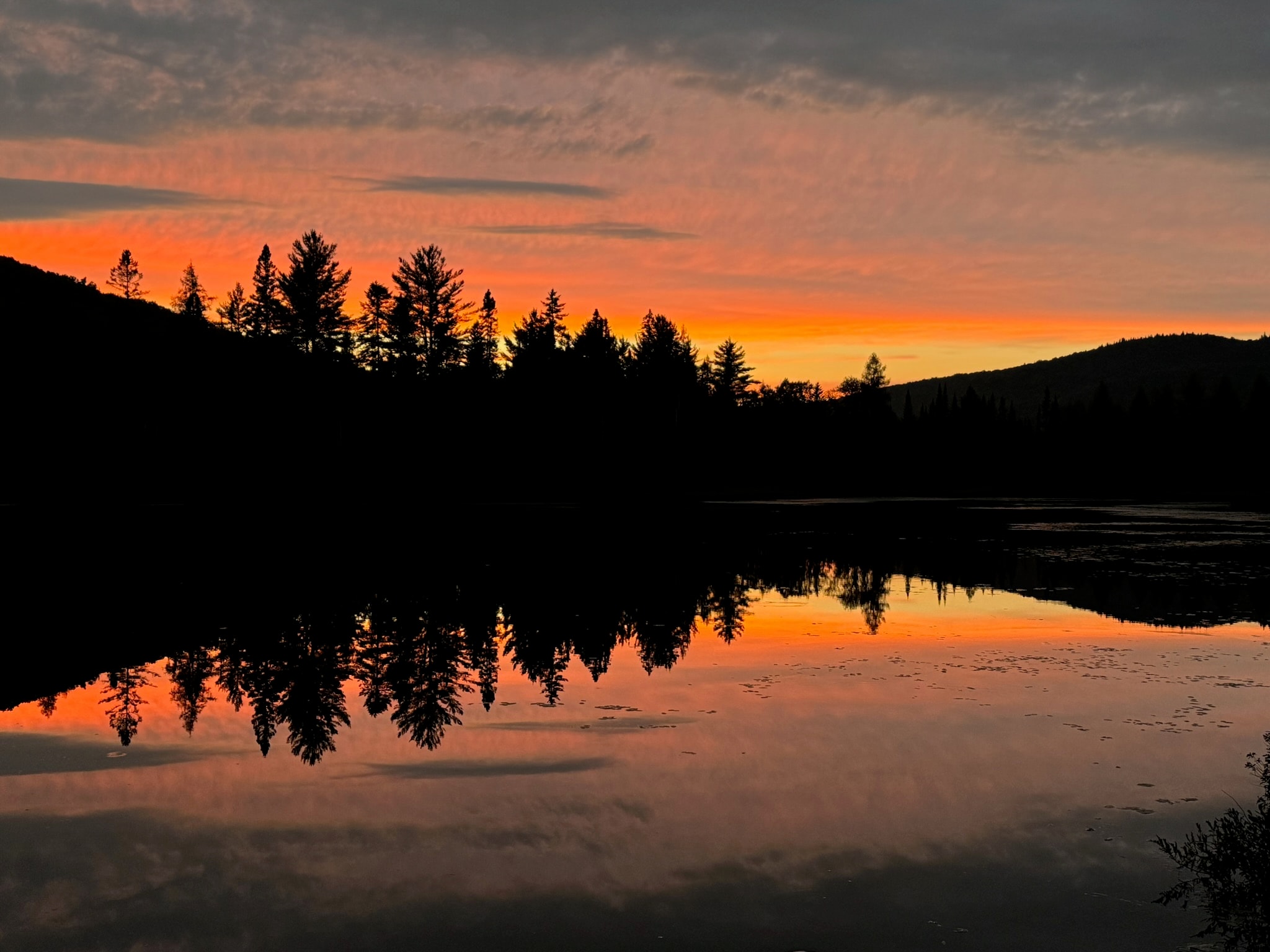 Forêt automnale reflétée dans le lac
